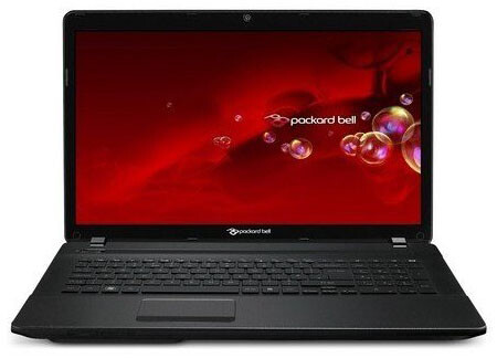 Ремонт ноутбука Packard Bell EasyNote LS Series